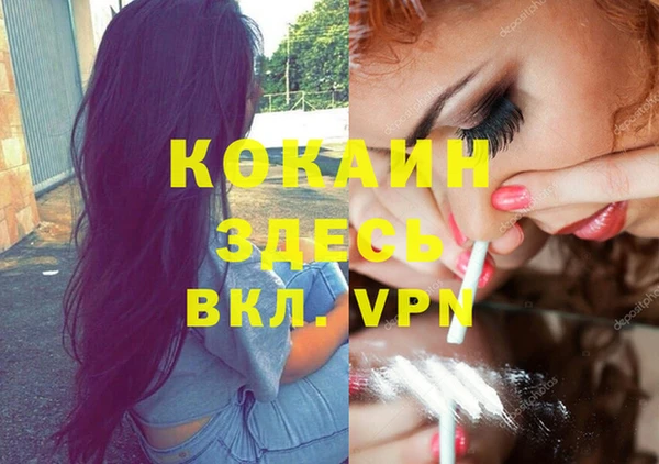 шишки Балабаново