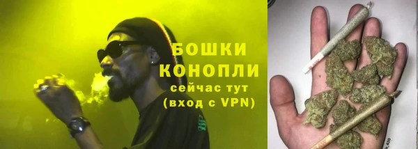 прущие крисы Аркадак