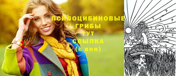 гидра Балахна